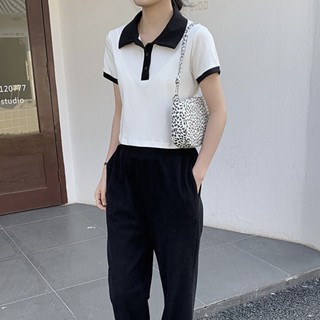 áo polo croptop cổ màu