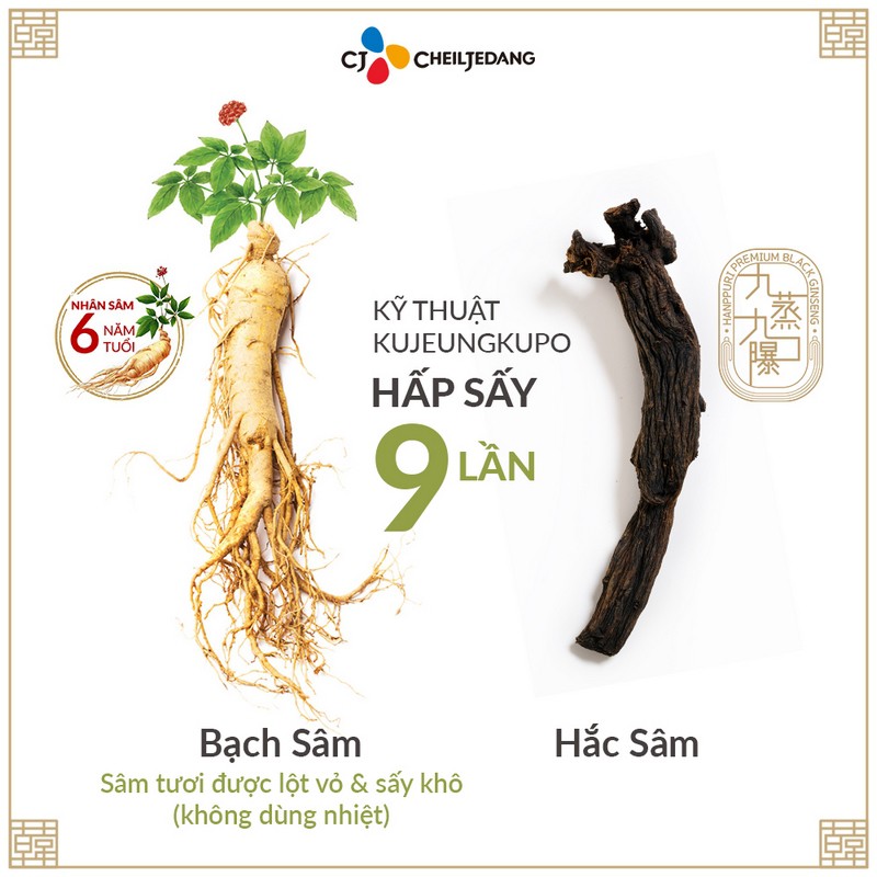 Tinh Chất Hắc Sâm Hanppuri Hoàng Gia Hàn Quốc Dạng Nước (10mlx10 gói) | BigBuy360 - bigbuy360.vn
