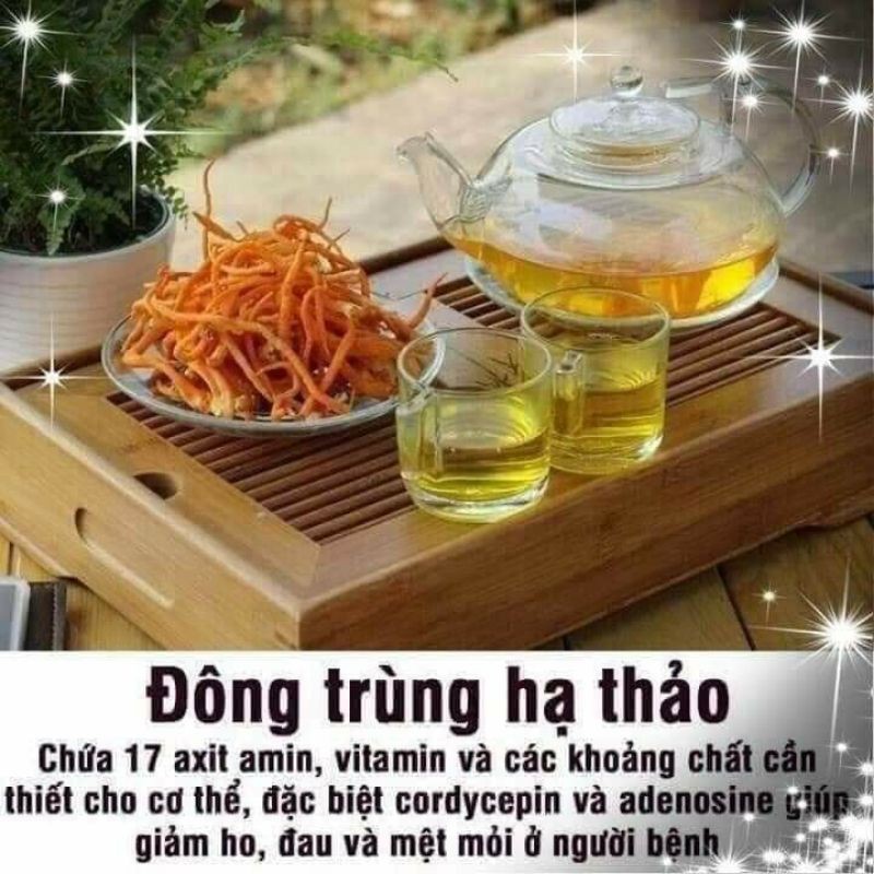 Đông trùng hạ thảo sản phẩm viện hàn lâm-hàng nội bộ cực tốt cho sức khỏe