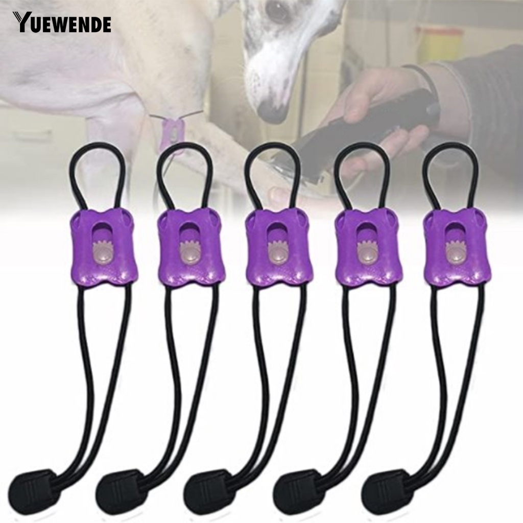 4 Băng Cứu Thương Chuyên Nghiệp Cho Thú Cưng