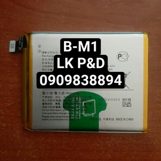 Pin vivo b-m1