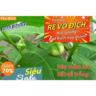 Gói 30 hạt giống cà pháo xanh - [Combo rẻ vô địch HẠT GIỐNG + BỘT KÍCH NẢY MẦM]