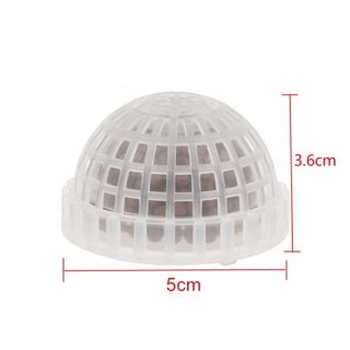 Tảo cầu thuỷ sinh lọc nước bể cá