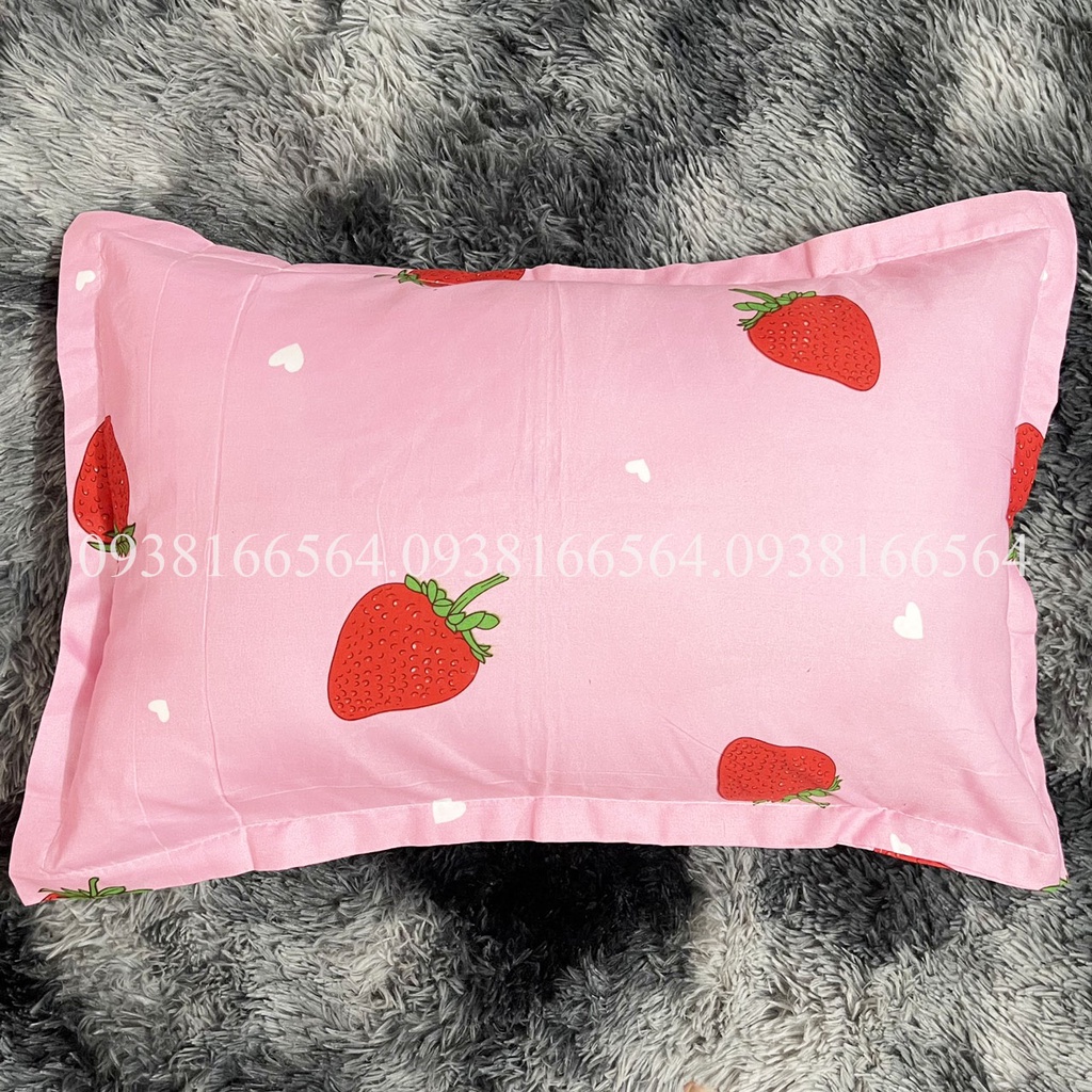 TRỌN BỘ COTTON POLY 5 MÓN CHĂN PHAO DÀY DẶN HÀNG VN HỌA TIẾT DÂU TÂY - ĐỦ KÍCH THƯỚC