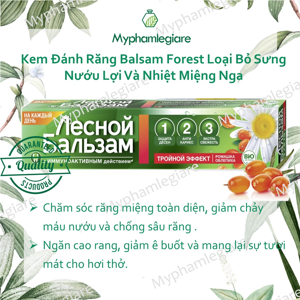 kem đánh răng Forest loại bỏ chảy máu chân răng, nứu lợi, giúp răng chắc khỏe