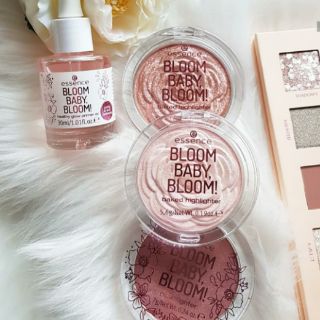 Phấn bắt sáng Limited Bloom Baby Bloom Essence