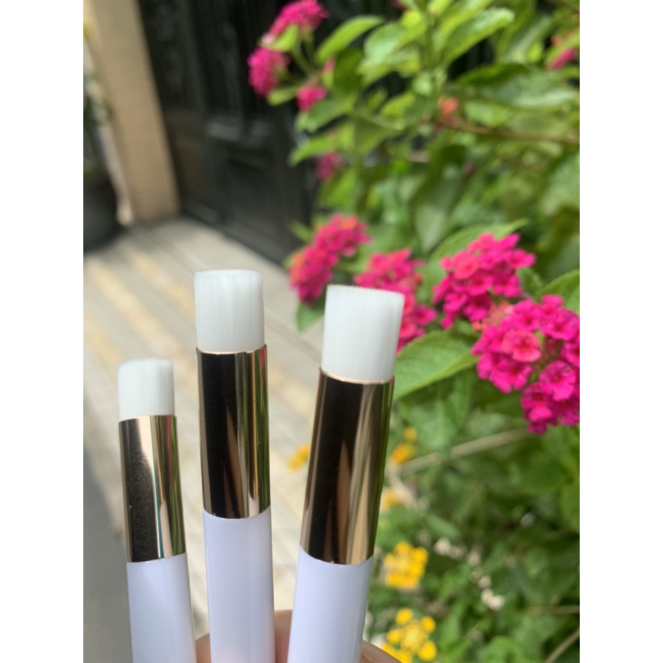 Cọ 1 cây dạng ngắn trơn