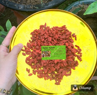 Kỷ tử loại 1🍓200h