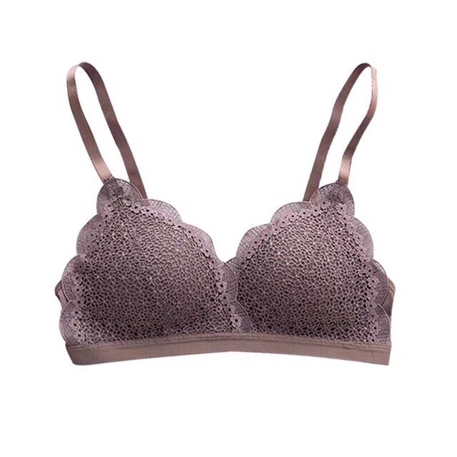 Áo Lót Ren Cao Cấp Hàng Nhập Khẩu (Đủ Size Đủ Màu) 8288 giá rẻ tốt