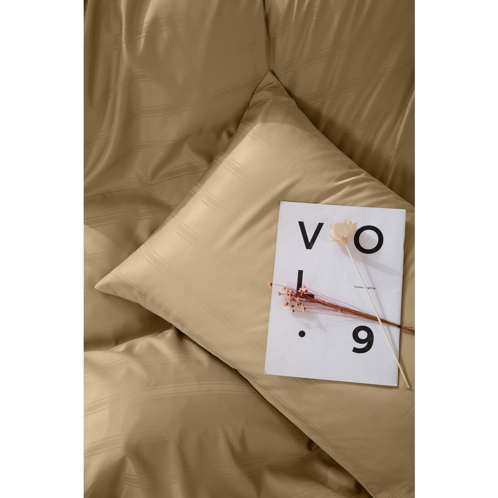 Bộ Ga và Chăn chần bông Ai by AKEMI Colourdream Tamaya, 5 món (King/Queen)