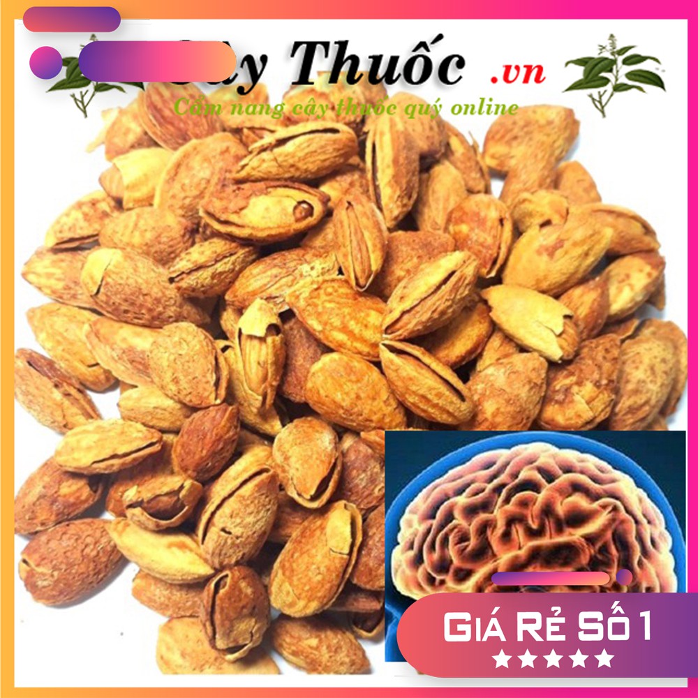 [1kg] - Hạnh nhân đã tách vỏ sấy chín nguyên vị - tốt cho sức khỏe - giá rẻ nhất thị trường