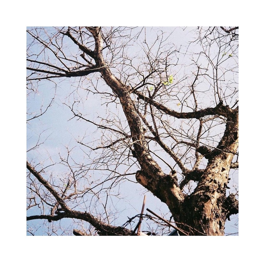 Máy ảnh Olympus Camedia C-840L