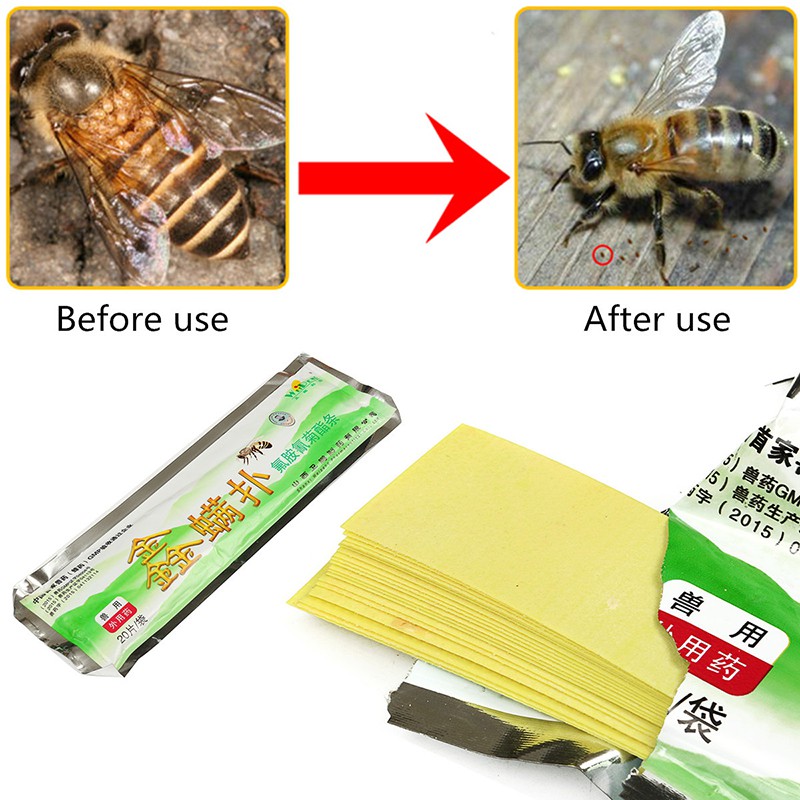 20pcs/pack New Beekeeping Fluvalinate Mite Killer Tool Pest Control Varroa Strip