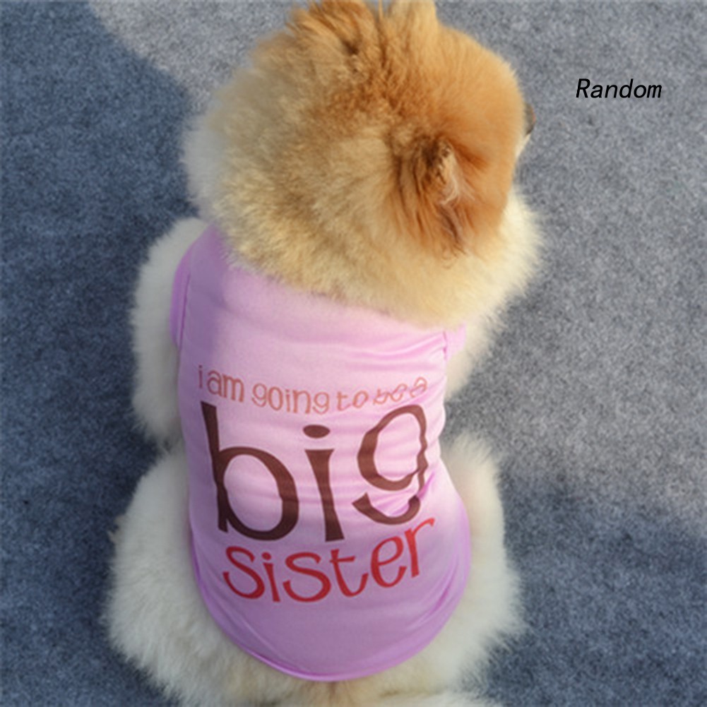 Áo Chống Nắng Cho Thú Cưng Ran