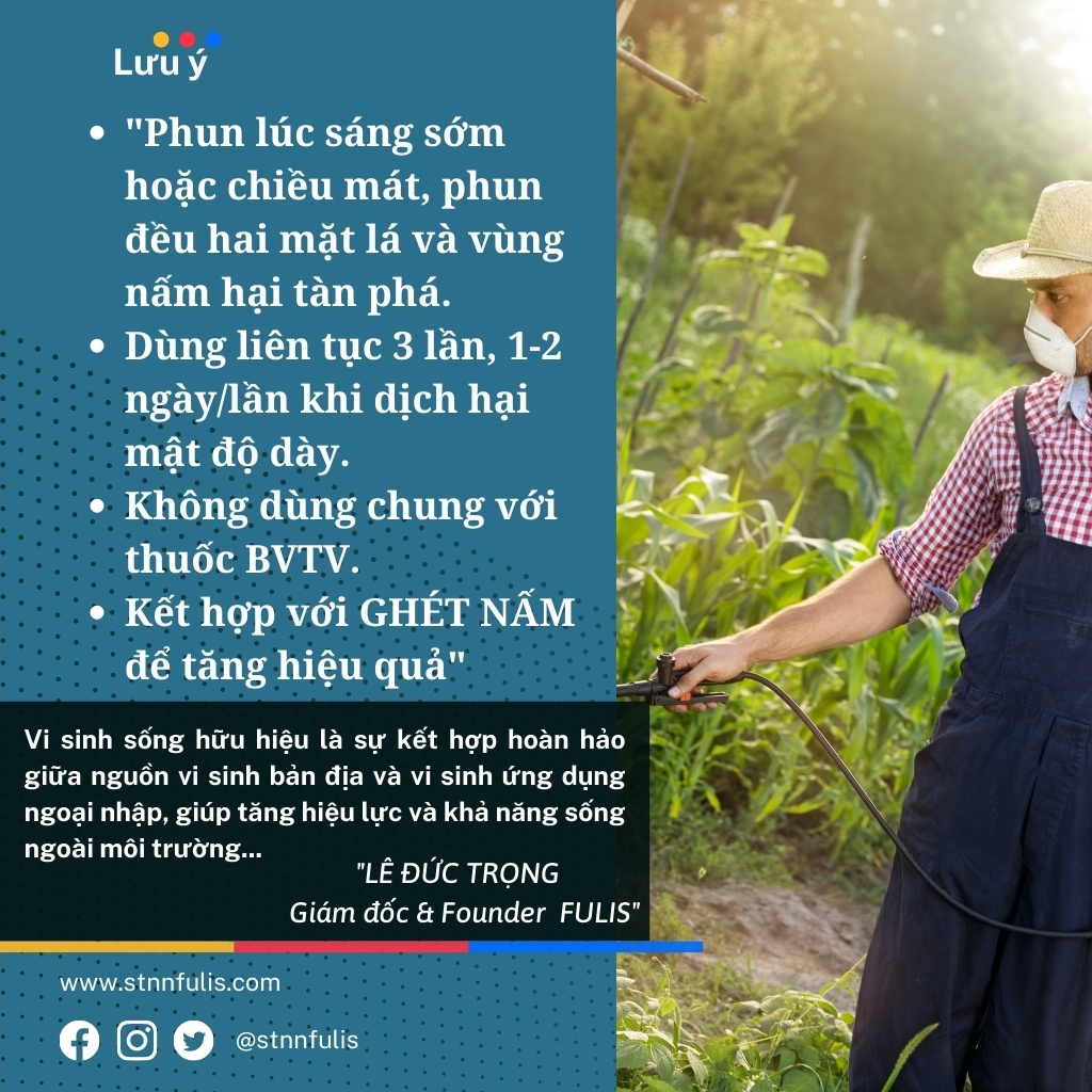 Chế Phẩm Sinh Học Phòng Nấm Rễ, Khuẩn Đất CỨU CÂY Cho Hoa Lan, Hồng, Cây Ăn Quả, Rau Màu Chính Hãng Giá Rẻ - stnnfulis