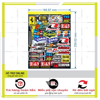 SHINDECAL- LOGO STICKER DÁN XE MÁY M23