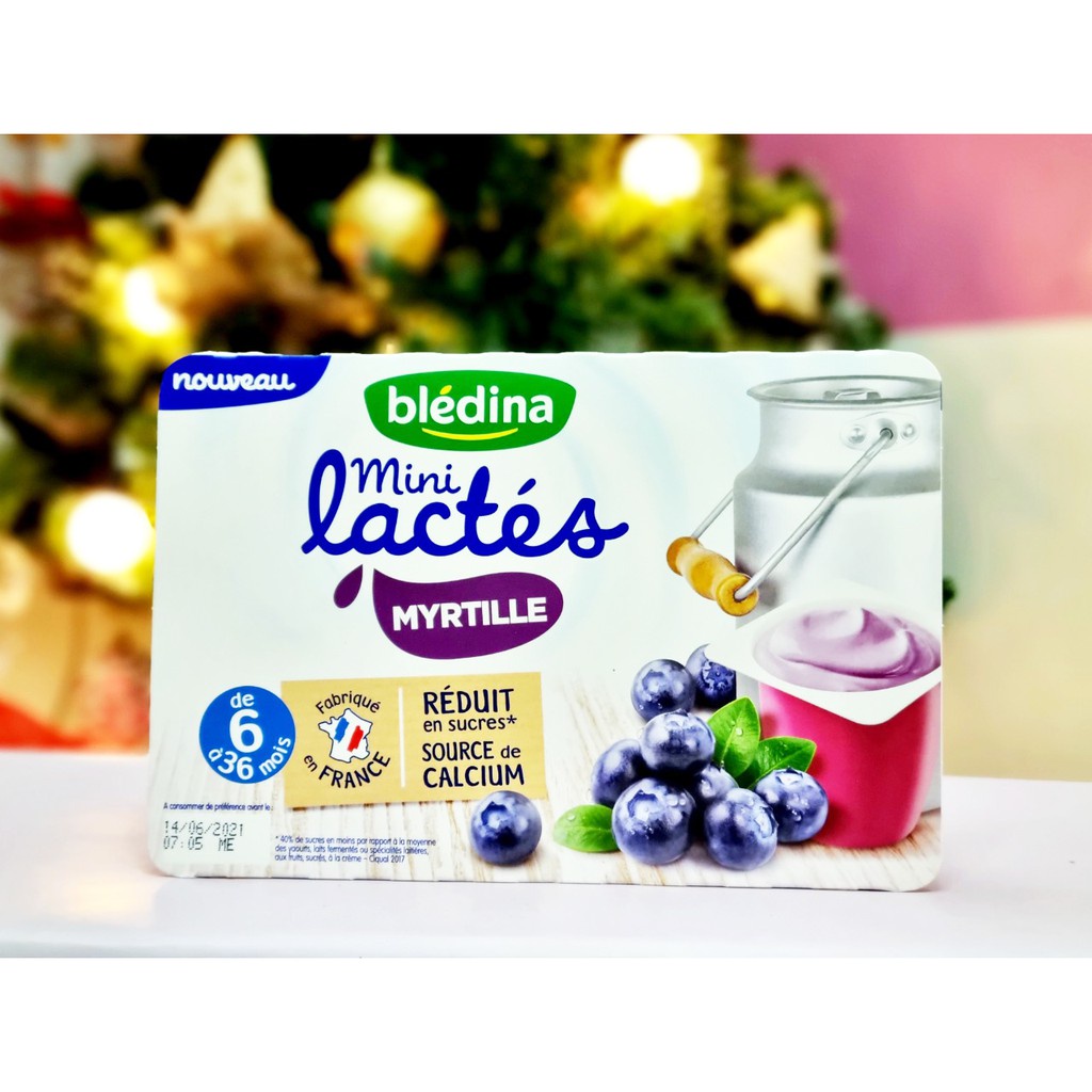 Sữa Chua Nguội Bledina Của Pháp Đủ Hương Vị Cho Bé