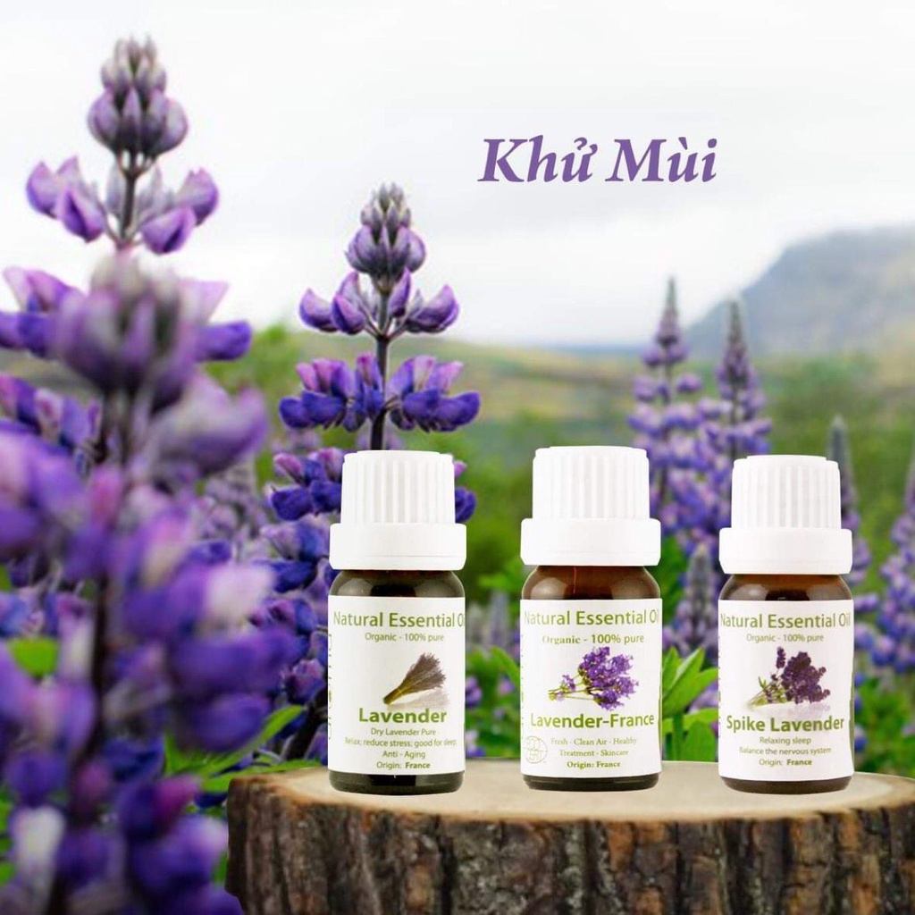 Tinh Dầu Xông AROMA Oải Hương Khô , Sả Chanh 10ml