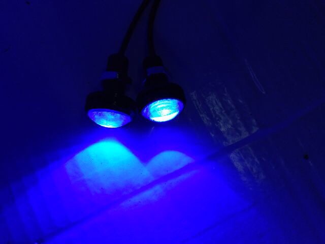 Đèn led xinhan cúc áo