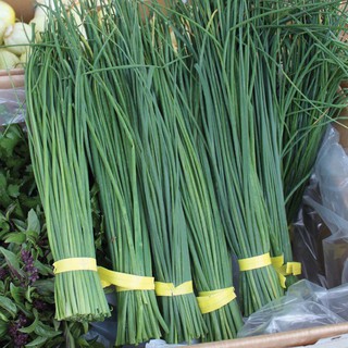 1gram HẠT GIỐNG HẸ