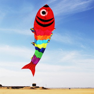 DIỀU COLOR FISH 6M