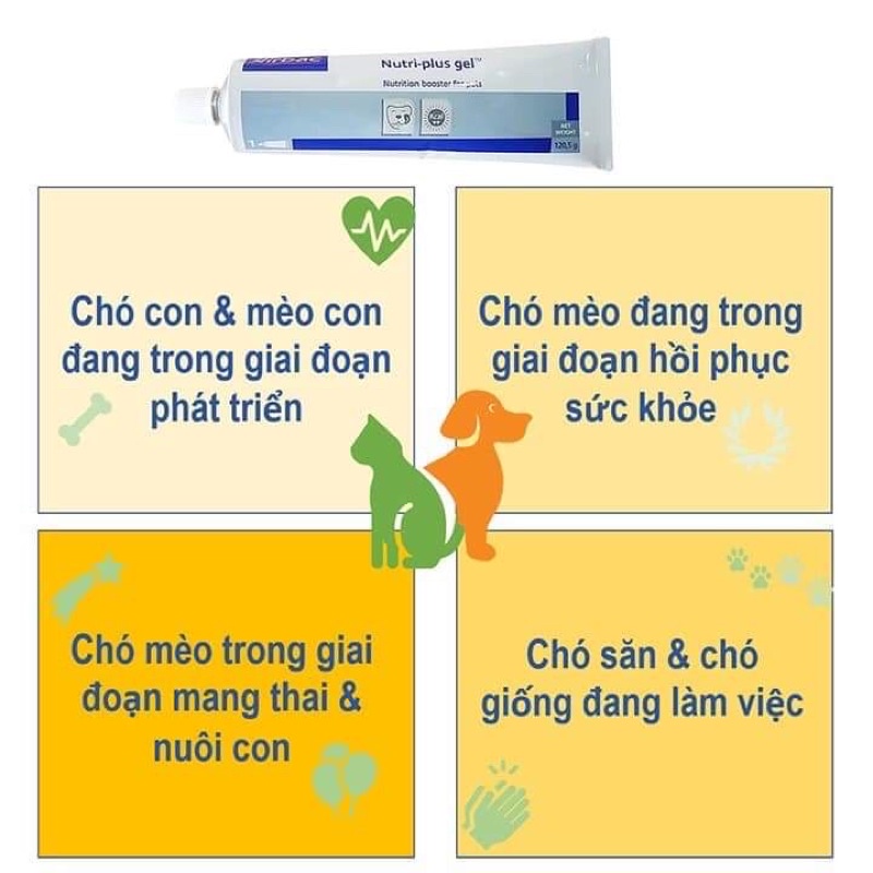 Gel Dinh Dưỡng Nutri Plus Gel Virbac 120,5g Cho Chó Mèo Biếng Ăn - Gầy Ốm Yếu - Cần Phục Hồi Sau Bệnh