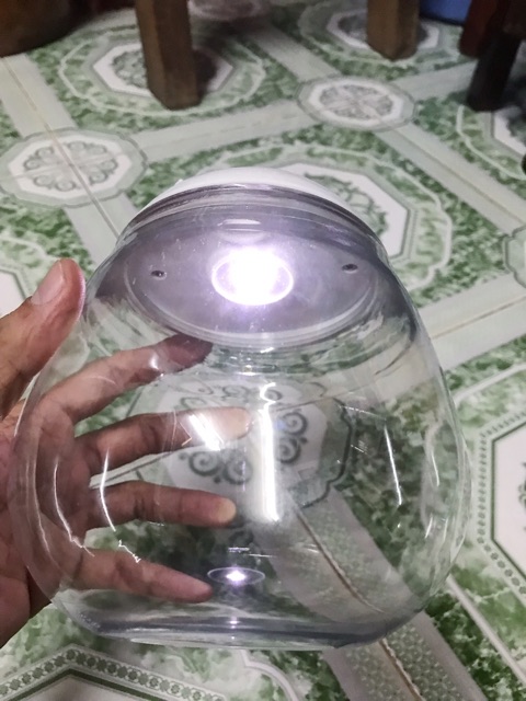 HỒ CÁ NHỰA TRÒN CÓ ĐÈN LED