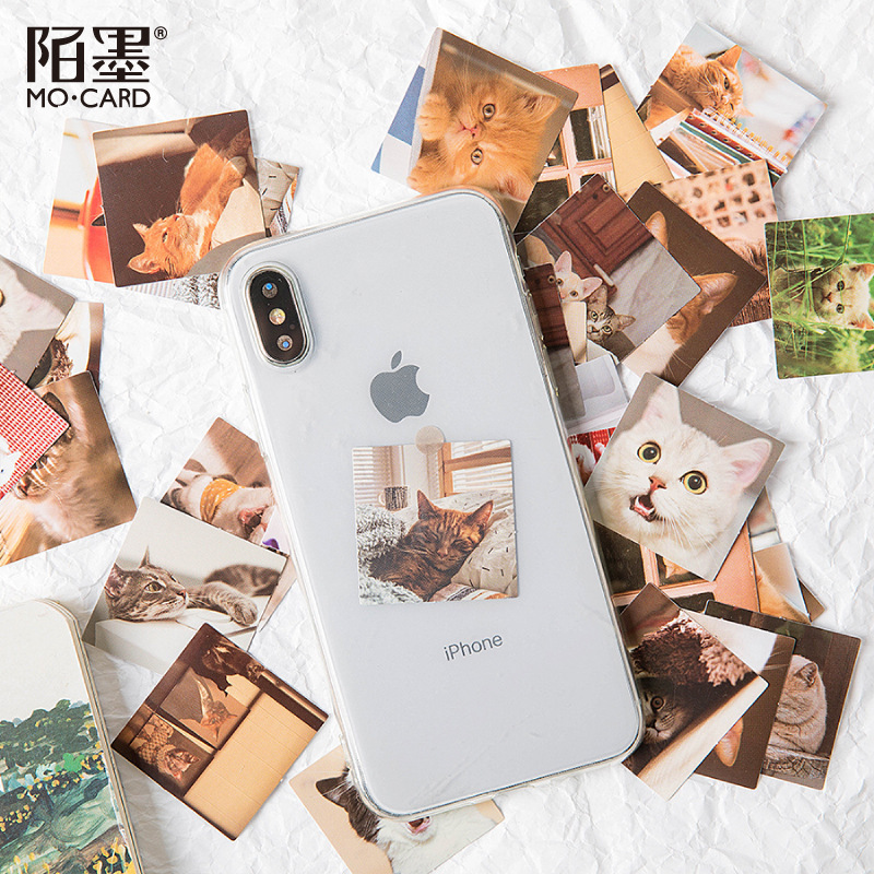 Set 46 Miếng Dán Trang Trí Hình Mèo Dễ Thương