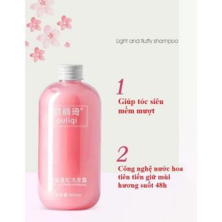 Cặp dầu gội dầu xả ouliqi 500ml