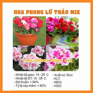 Hạt Giống Hoa Phong Lữ Thảo Mix - 10 Hạt