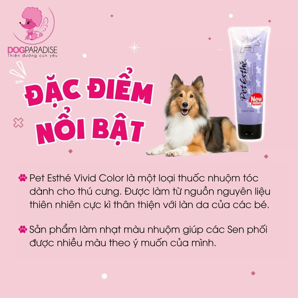 Dung dịch pha điều chỉnh tông màu thuốc nhuộm Vivid Color Pet Esthe an toàn cho thú cưng 250gr - Dog Paradise