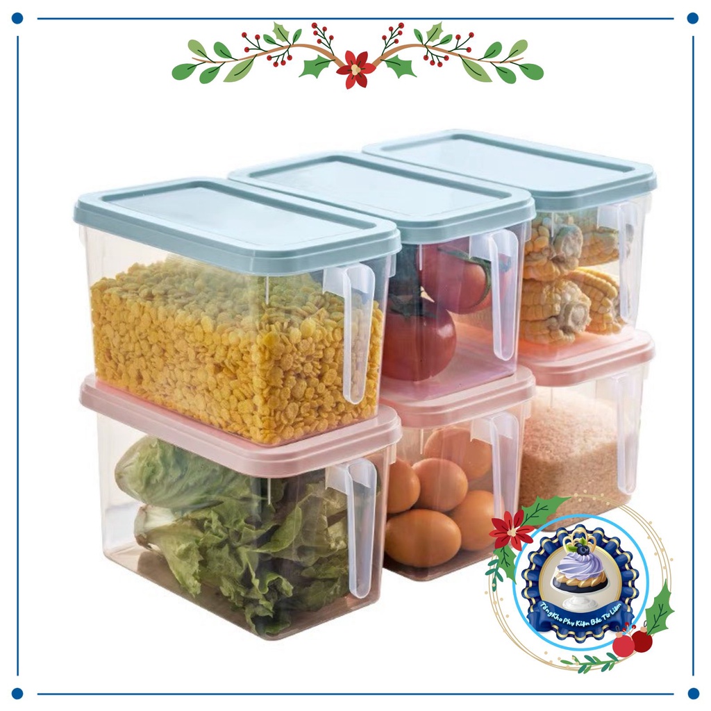 Hộp đựng thực phẩm tủ lạnh trữ đông bảo quản thức ăn chất liệu nhựa có tay cầm (kích thước 31x15x16)