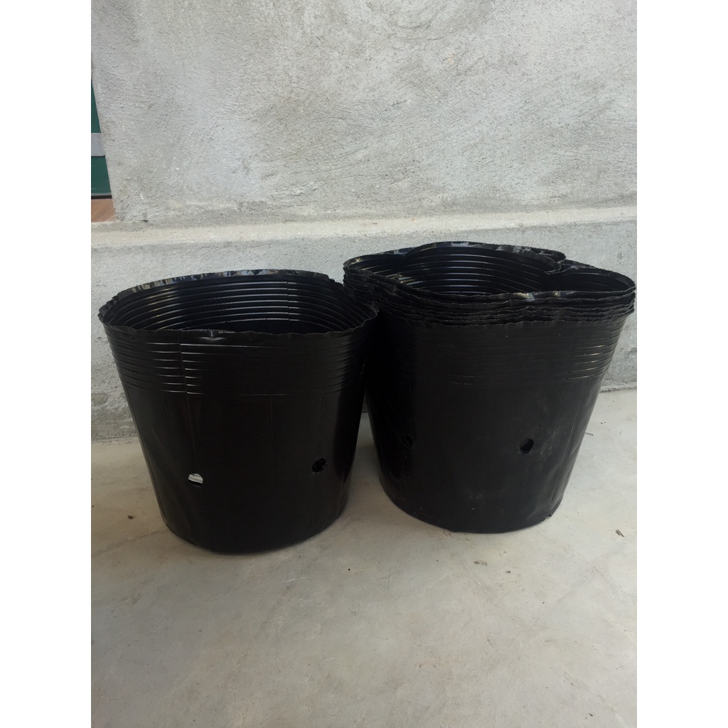 1kg(29-30 cái) bầu ươm cây màu đen giá chỉ 56k