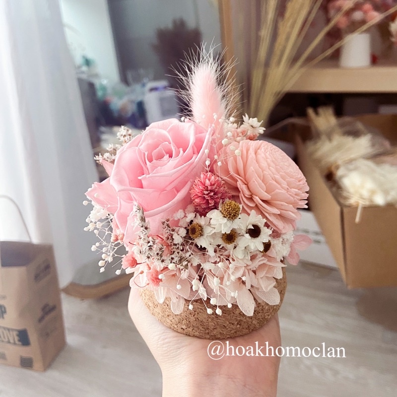 Quả cầu thuỷ tinh kèm hoa hồng khô Ecuador bất tử, lọ hoa để bàn trang trí, làm đèn ngủ