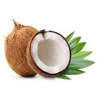 1 Gói Bột cốt dừa 50g