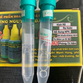 2 kieki duy xanh và 2 lọ hùng nguyễn