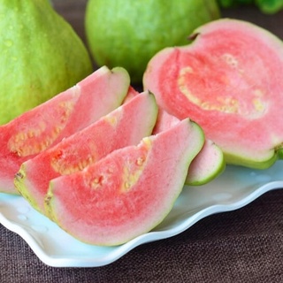 Cây Giống Ổi Lê Ruột Đỏ (chuẩn giống cây trồng)