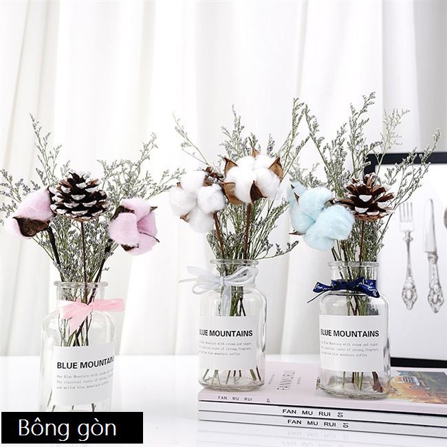 Combo lọ thủy tinh và hoa khô