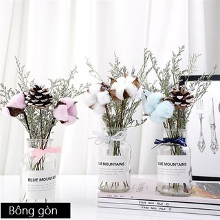 Combo lọ thủy tinh và hoa khô