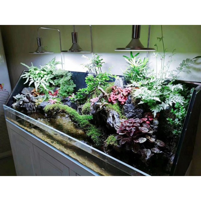 Đèn Led Kẹp Xima 20W, 40W Cho Thuỷ Sinh - Ánh Sáng Trắng và RGB