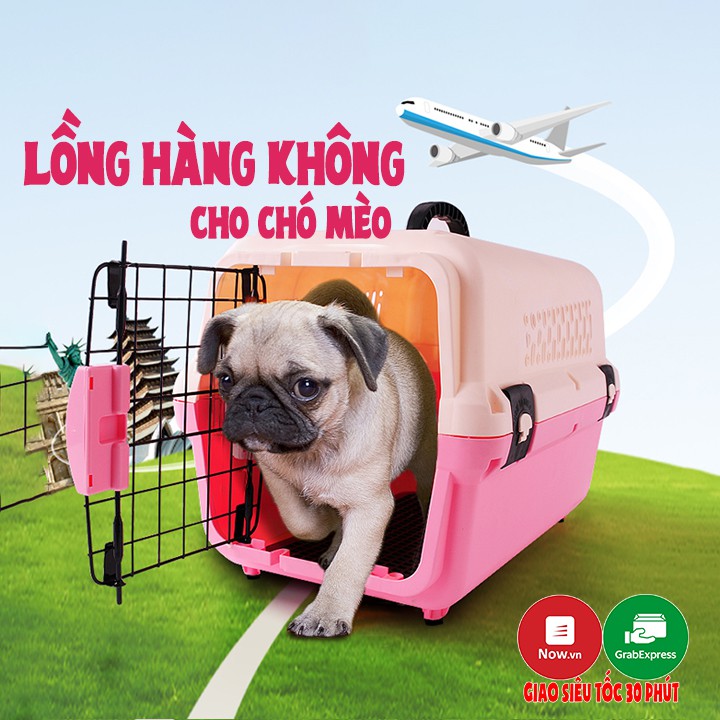 Lồng vận chuyển hàng không Size M 51x33x34cm dành cho thú cưng - Cutepets