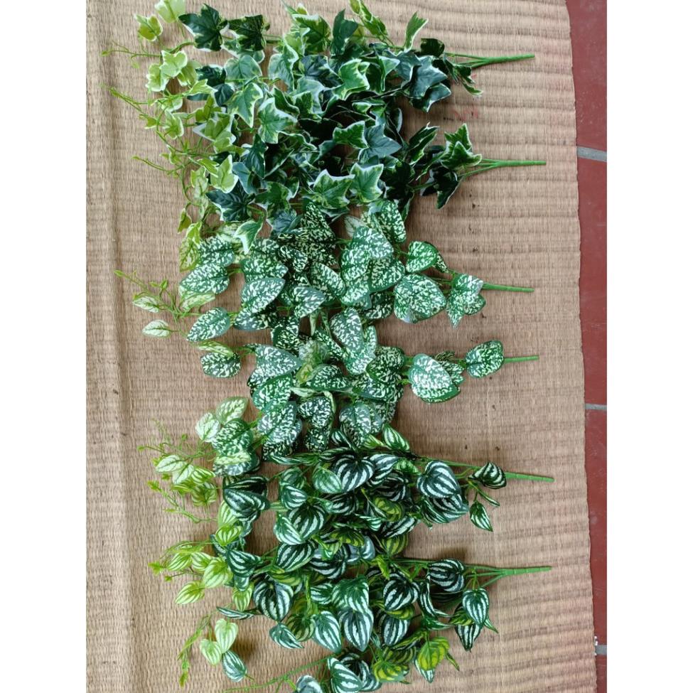 Cụm cành trầu bà chuyên dụng trang trí tường và ngoài vườn giống thật 99%