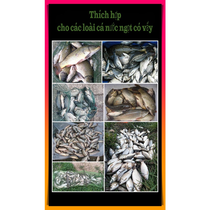 Tinh mùi câu cá 338, vị Khoai mật lúa mạch,Đường đen, Hoa quả chua, Tinh giun quế, Đậm đặc tiết kiệm- Khôi Fishing