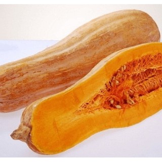 Hạt giống Bí ngô mật