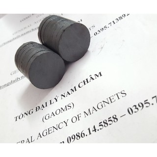 Nam châm Ferrite 30x5mm