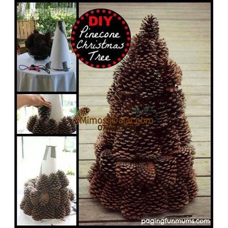 Quả Thông khô nhiều size ( Trái Thông khô Đà Lạt) 1 kg