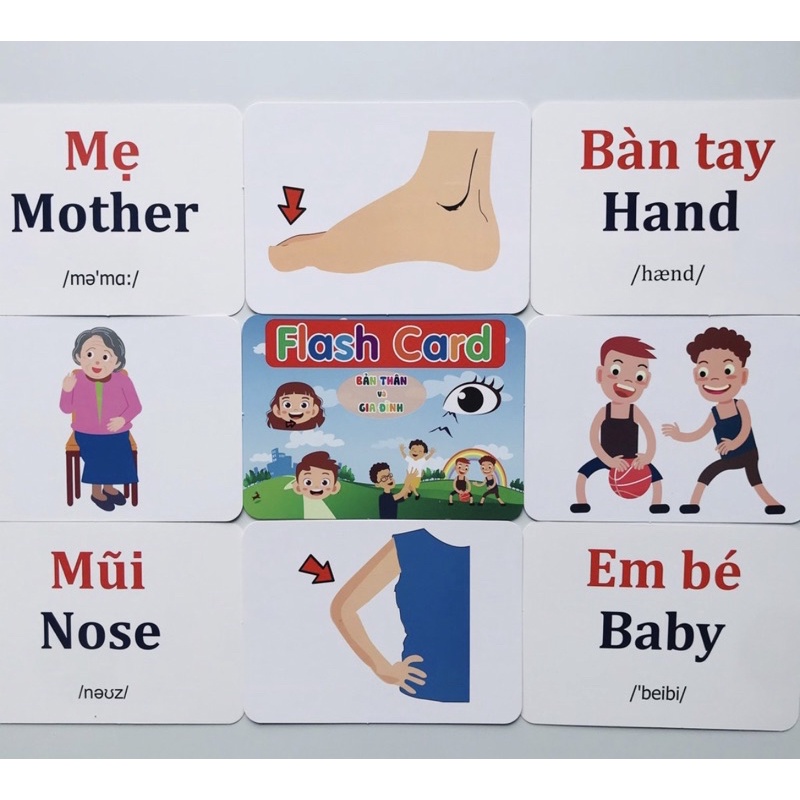 Thẻ học thông minh 19 chủ đề gồm 260 thẻ 12*16