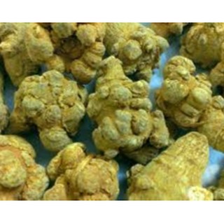 TAM THẤT BẮC XỊN 100% 5 CỦ - 100G