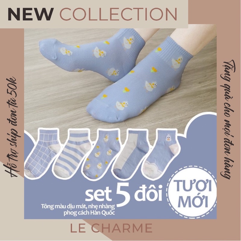 Tất Nữ Hàn Quốc Set 5 Đôi Màu Xanh Blue Pastel Cổ Ngắn M2034