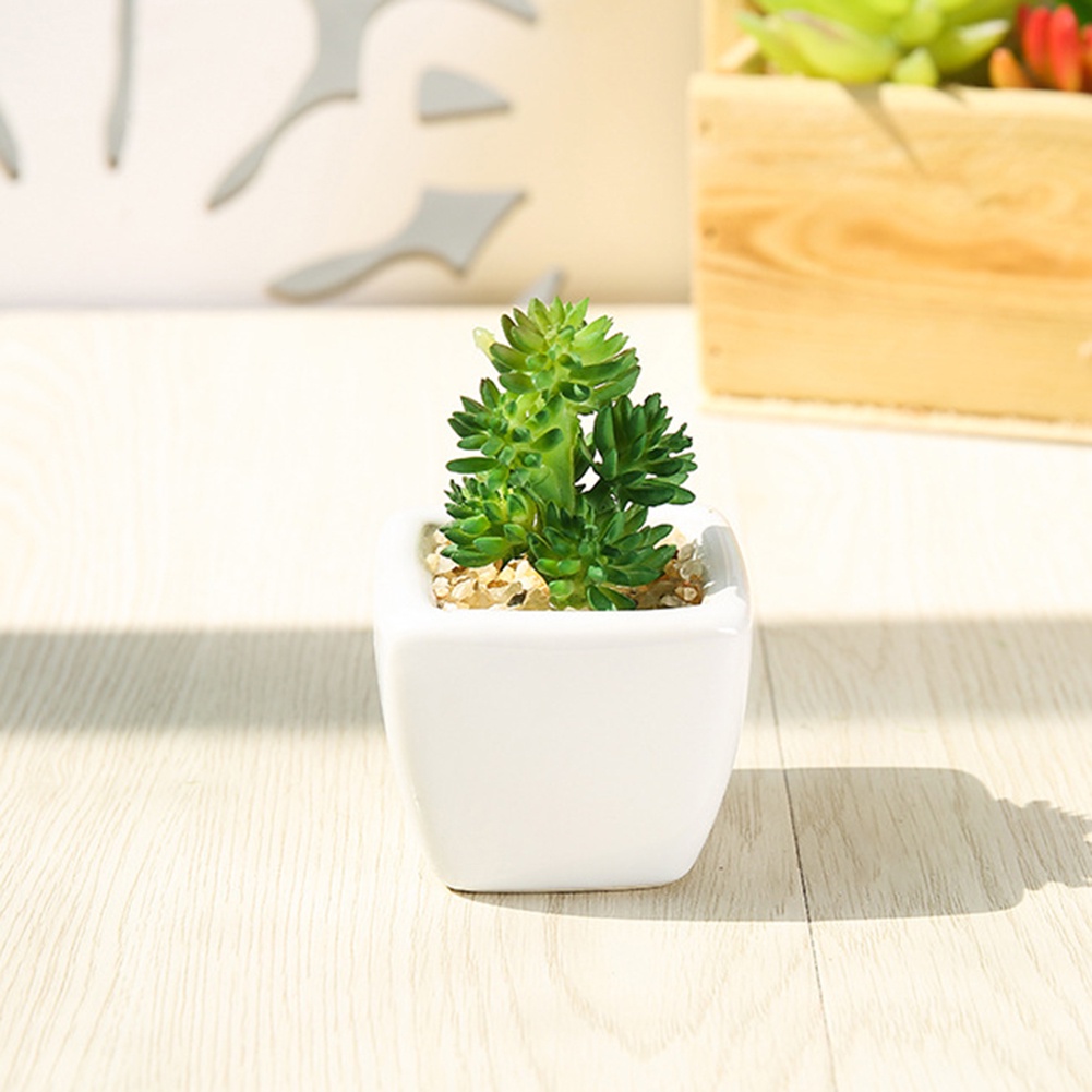 Chậu sen đá giả dùng để trang trí nội thất / văn phòng / ban công